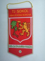 /album/havlickova-borova/havlickova-borova-tj-sokol-22-jpg/